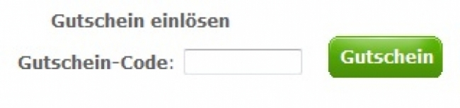 Gutschein-Hilfe styleon.de
