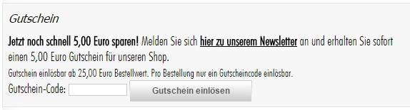 Gutschein-Hilfe werkstatt-king.de