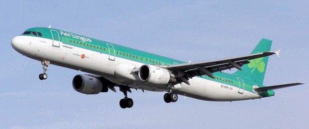Aer Lingus bedient hauptsächlich Städte, saisonal auch Urlaubsziele, innerhalb Europas. Die meisten der derzeitigen Langstreckenziele liegen mit Boston, Chicago, New York, Orlando und Washington D.C. in den USA.