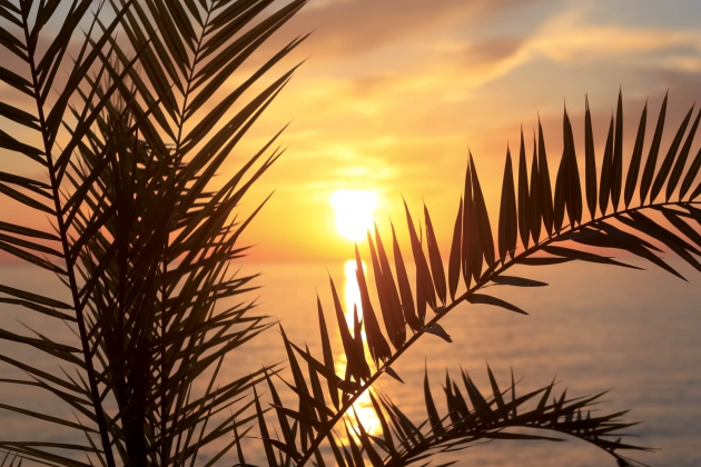 Den Sonnenuntergang am Strand erleben