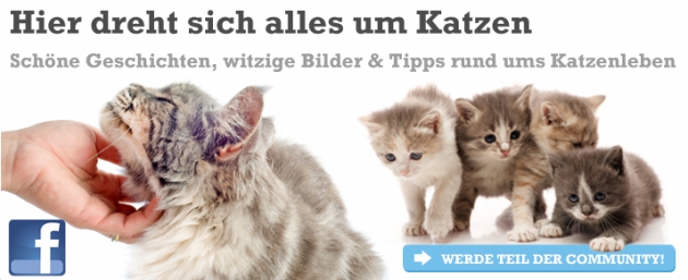 Katzenland.de Facebook-Banner Katzenland.de Facebook-Banner