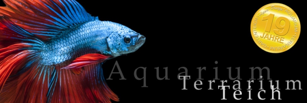 Produkte für Dein Aquarium gibt es bei Aqua-Design