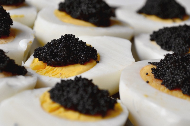 Kaviar und weitere Delikatessen günstig mit Gutscheincodes von Couponster.de