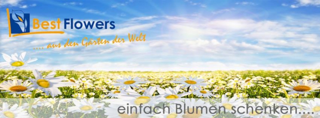 Günstige Blumen mit Best Flowers Gutschein