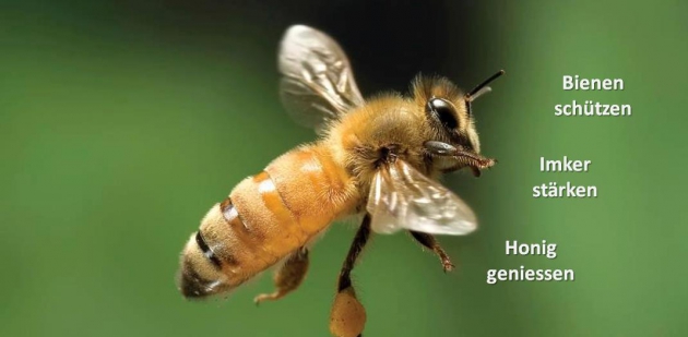 Bienen schützen - Imker stärken - Honig genießen