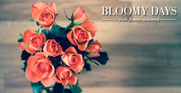 Saisonale Schnittblumen von BLOOMY DAYS Saisonale Schnittblumen von BLOOMY DAYS