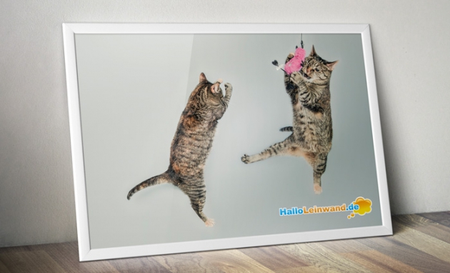 Deine Lieblingsbilder werden zur wunderschönen Leinwand - mit HalloLeinwand Deine Lieblingsbilder werden zur wunderschönen Leinwand - mit HalloLeinwand