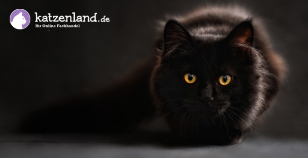 Katzenbedarf und Katzenzubehör im katzenland.de Online-Shop Katzenbedarf und Katzenzubehör im katzenland.de Online-Shop