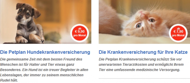 Jetzt Dein Tier mit einer Versicherung von Petplan schützen