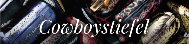 Bei Fashion Boots gibt unter anderem stilvolle Cowboystiefel!