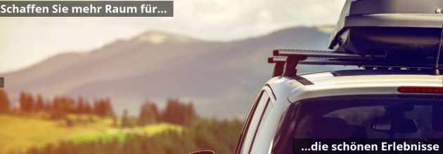 Auto in Naturlandschaft mit Dachbox