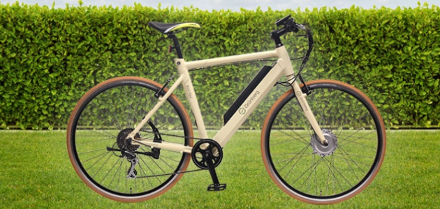 das Moskito Bike von EBike Guru