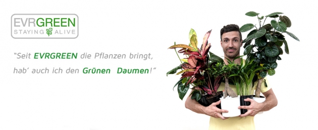 gründer Daumen dank Evrgreen