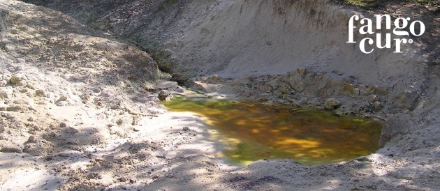 vulkanisches Fango aus Gossendorf