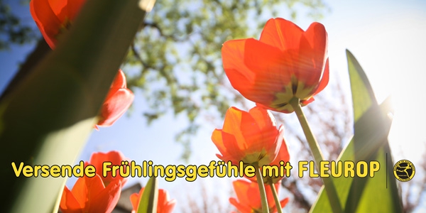 Frühlingsgefühle versendet man mit Fleurop Frühlingsgefühle versendet man mit Fleurop