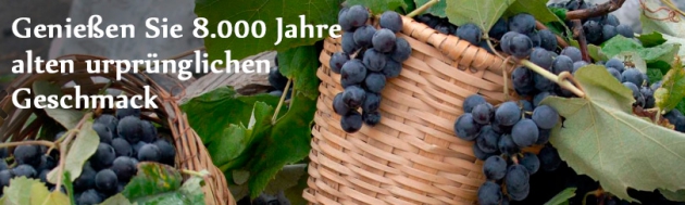 Weingut Georgien bei Couponster.de