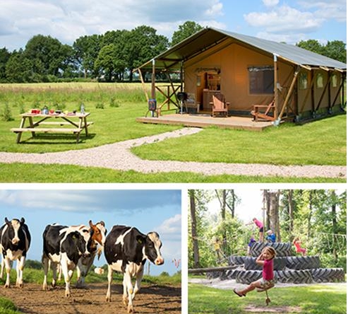 Farmcamps bei Couponster.de Farmcamps bei Couponster.de