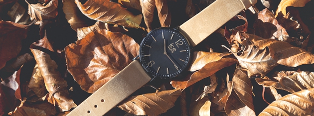 Ice Watch günstig kaufen mit einem Gutscheincode Ice Watch günstig kaufen mit einem Gutscheincode