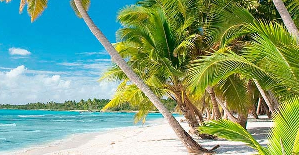 Karibik, Meer und Strand mit Palmen