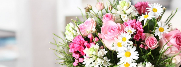 wunderschöne Blütenträume von Miflora wunderschöne Blütenträume von Miflora