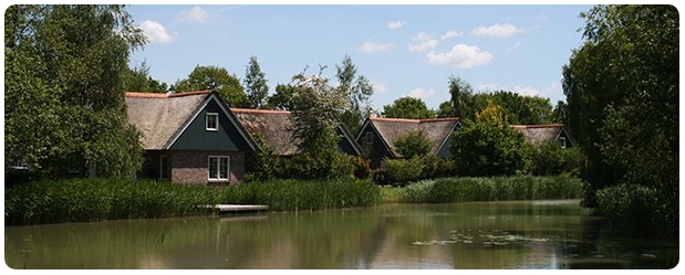 Ferienhäuser am Teich umgeben von Grün und Bäumen