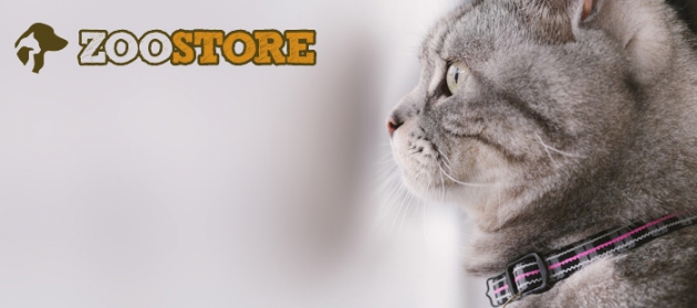 Im Online-Shop können Sie Heimtierbedarf günstig online einkaufen und bequem nach Hause liefern lassen.